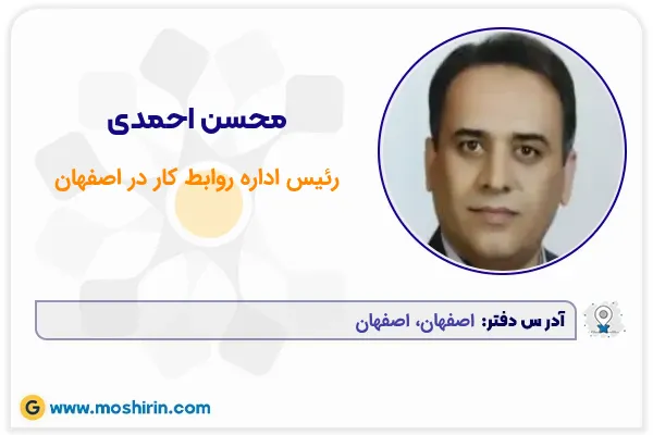 محسن احمدی