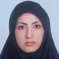 فاطمه بهزادی فاطمه بهزادی مهندس نرم افزار