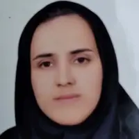 نگار احمدوند کارشناسی ارشد حسابداری