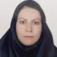 لیلا ذوالفقاری نیا لیلا ذوالفقاری نیا کارشناسی ارشد حقوق جزا و جرم شناسی